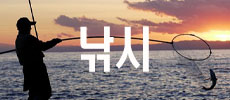 낚시