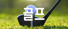 골프